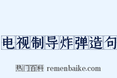 电视制导炸弹造句是什么意思的图片